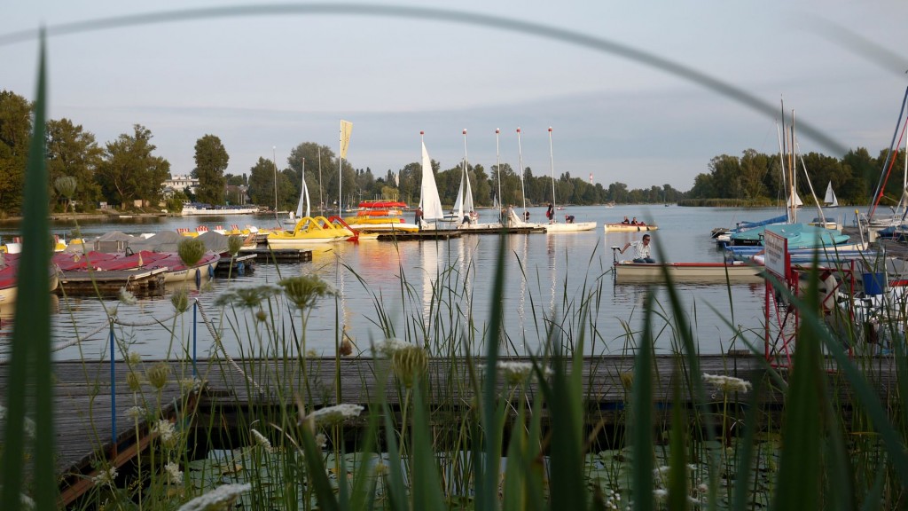 Vizes tapasztalatcsere Bécsben