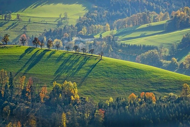 Magyar falu-porgarm